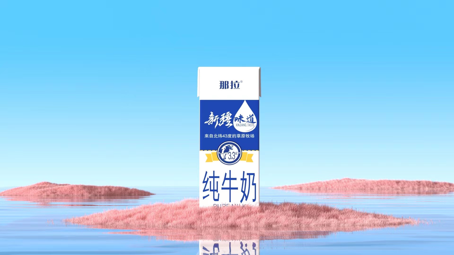 【上新了！】新品快來看看吧！